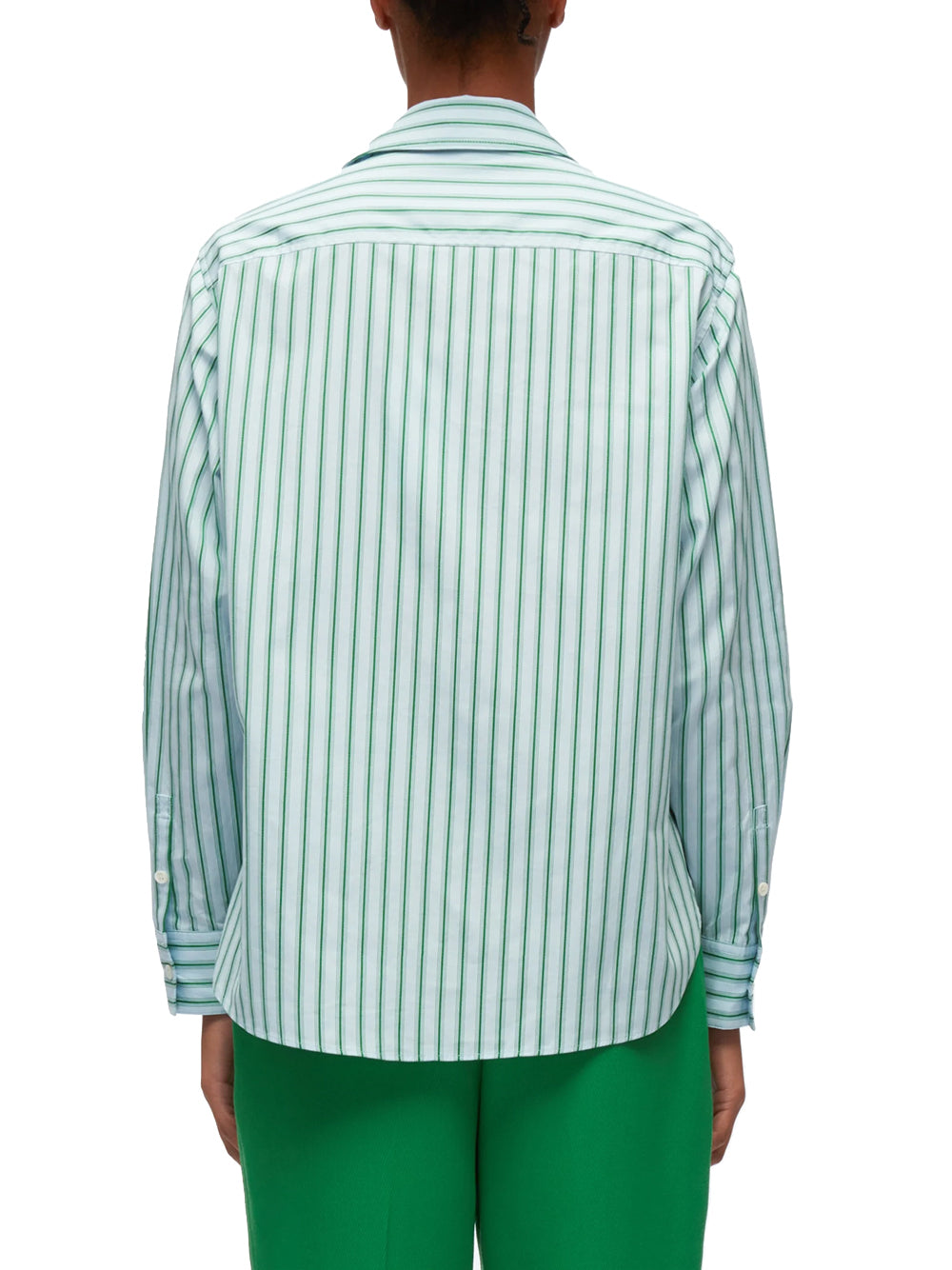 Striped Shirt With Abstract Zebra Embroidery (Ice-Blue-Green Stripe)