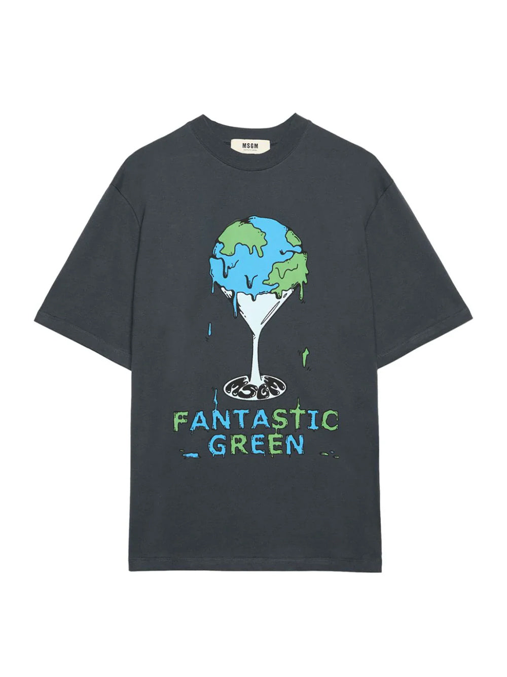 Organic Cotton "Fantastic Green Burro Studio" T-Shirt Grey