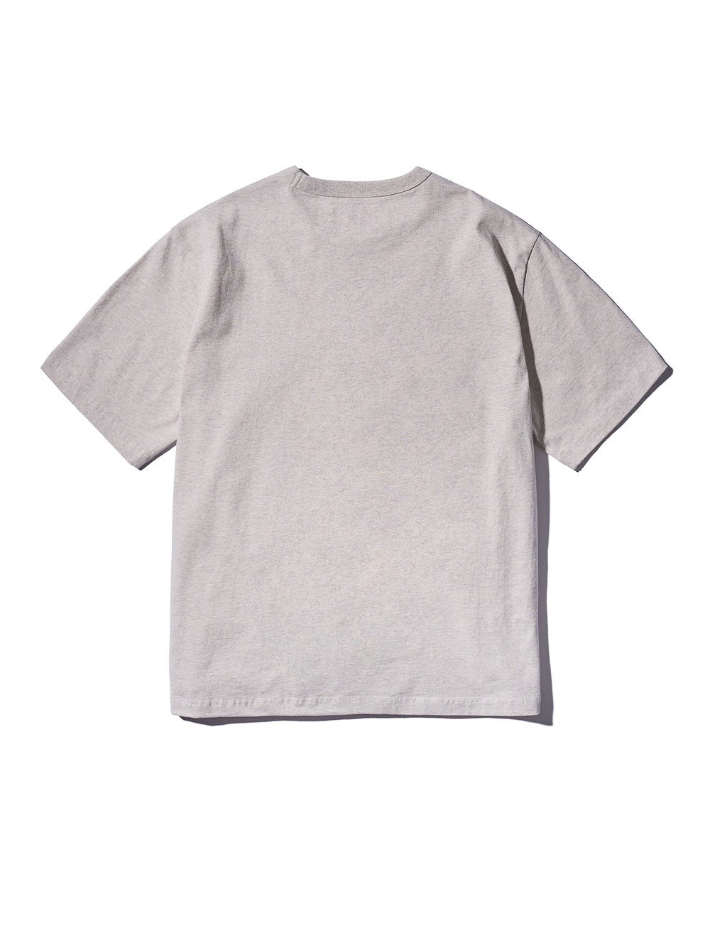 AECA Big Logo Tee (Oatmeal/Green)