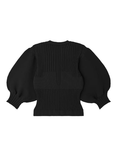 Fluted Short Puff Sleeve Cropped Top (Black)