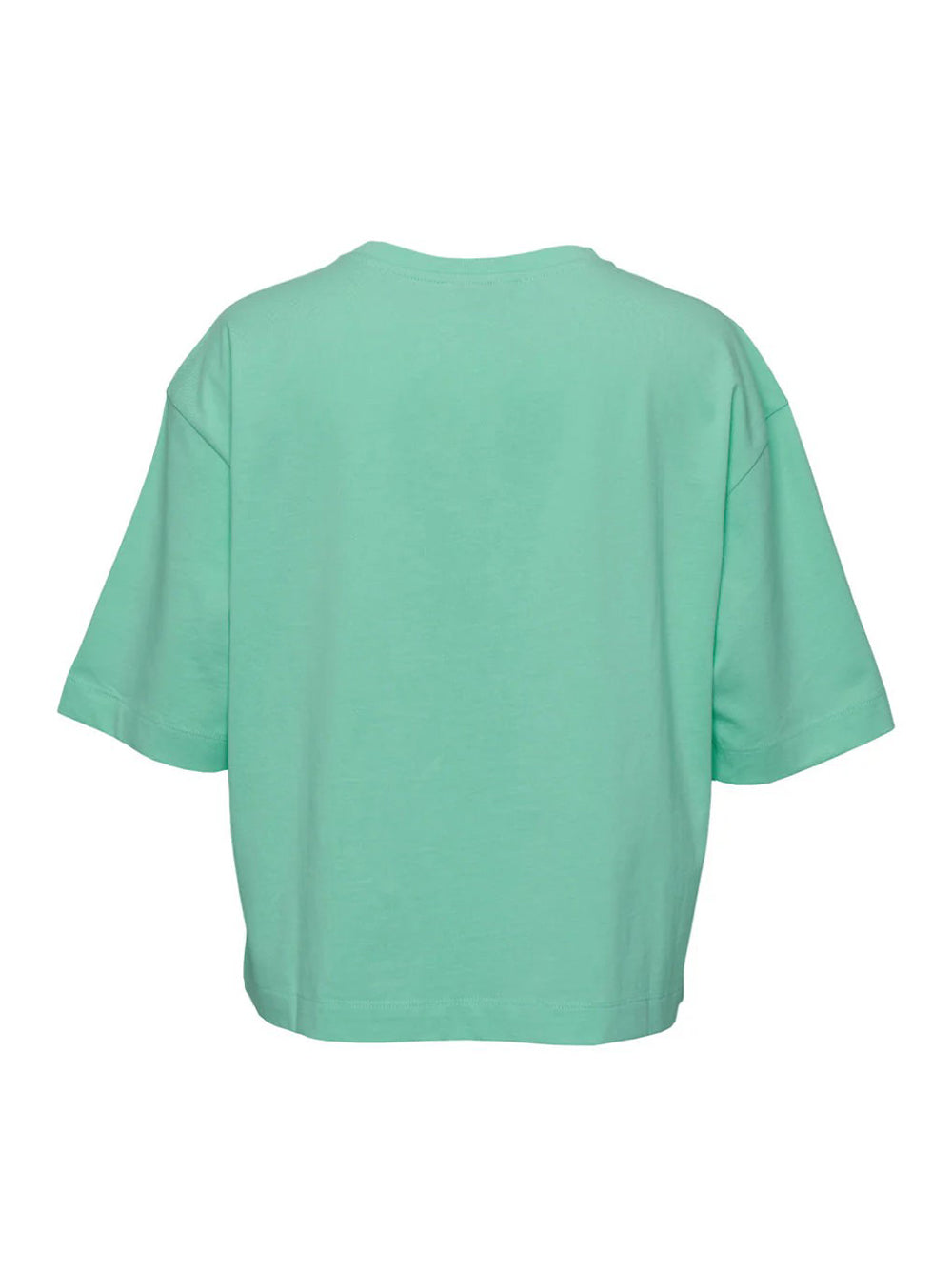 Enzymed Organic Cotton Basic Tee (Apple)