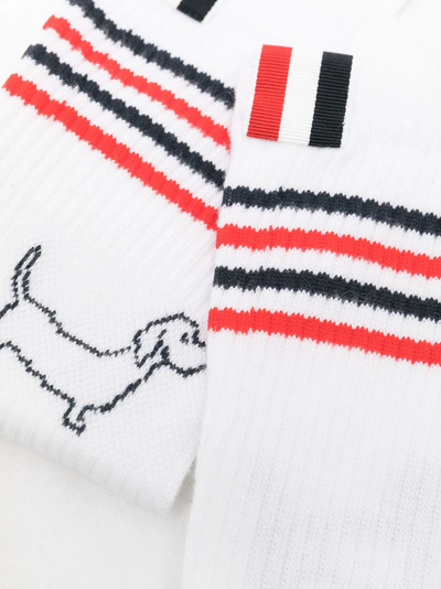 Cotton 4-Bar Hector Socks (White)