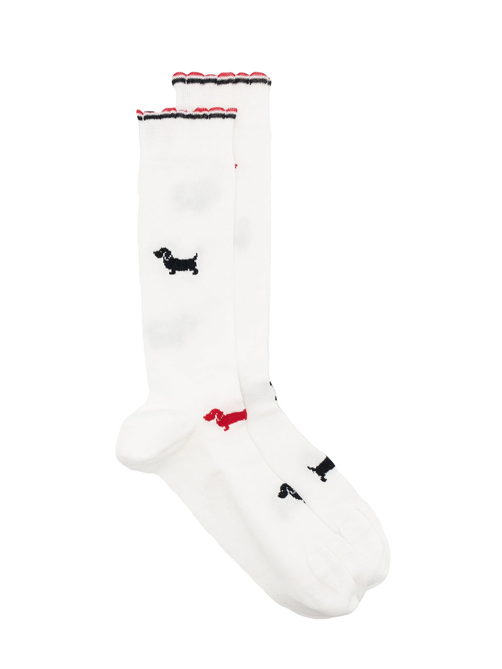 Cotton Mid Calf Scalloped Hector Socks (White)