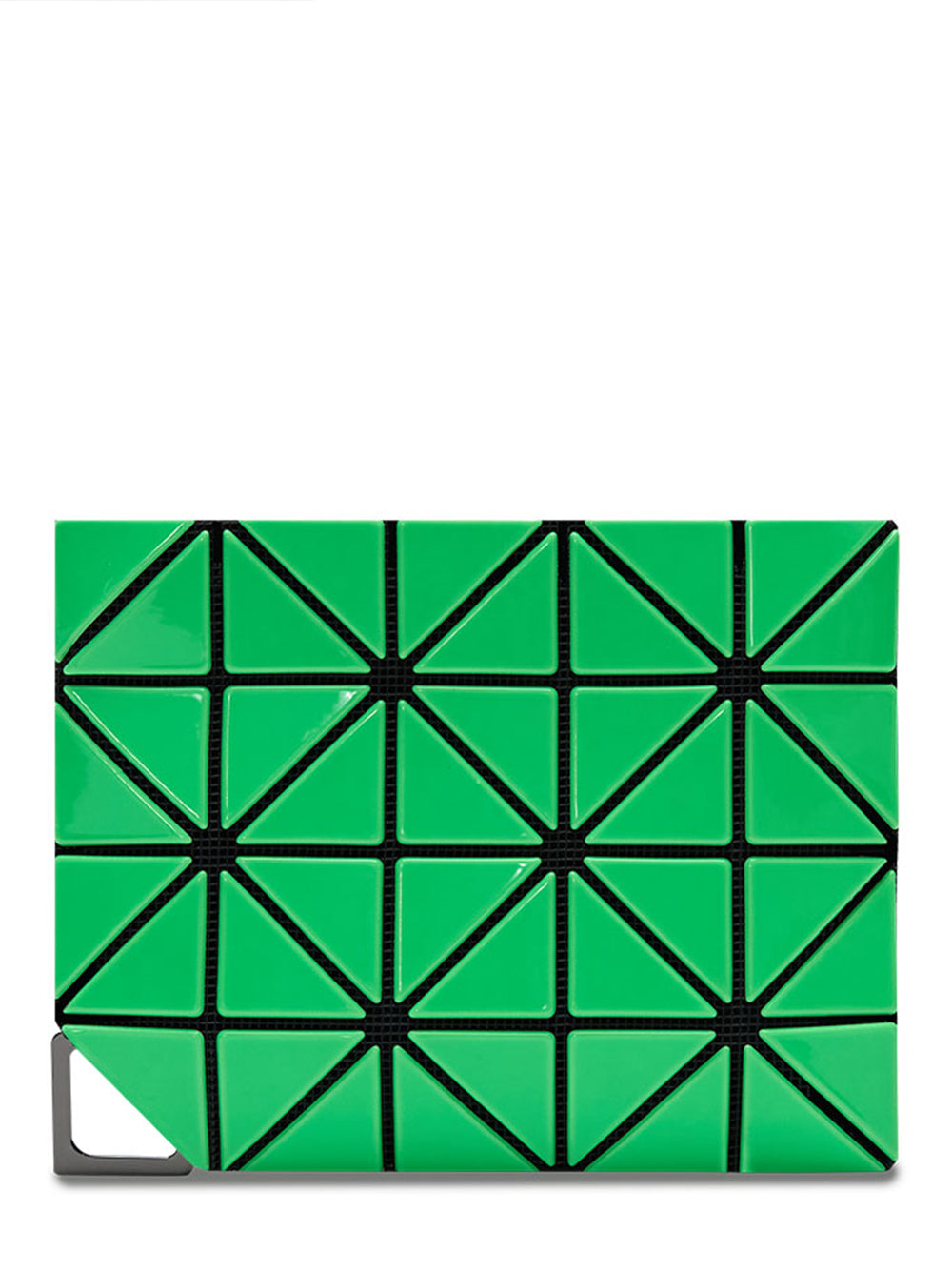 FLIPPER Pass Case (Green)