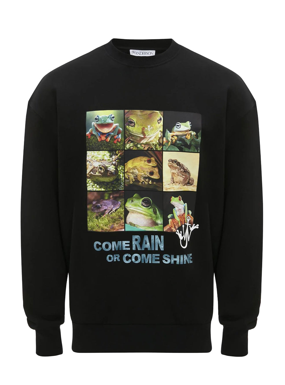 Frog Sweatshirt (Black)