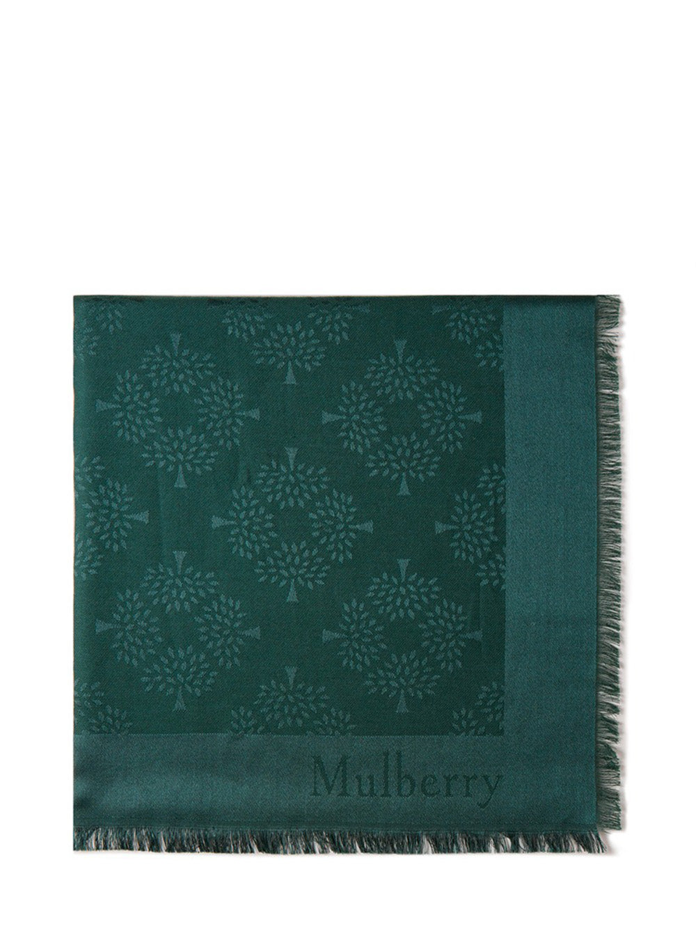     MulberryTreeScarf-MulberryGreen-1