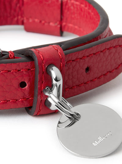 XS Leather Dog Collar (Lancaster Red)