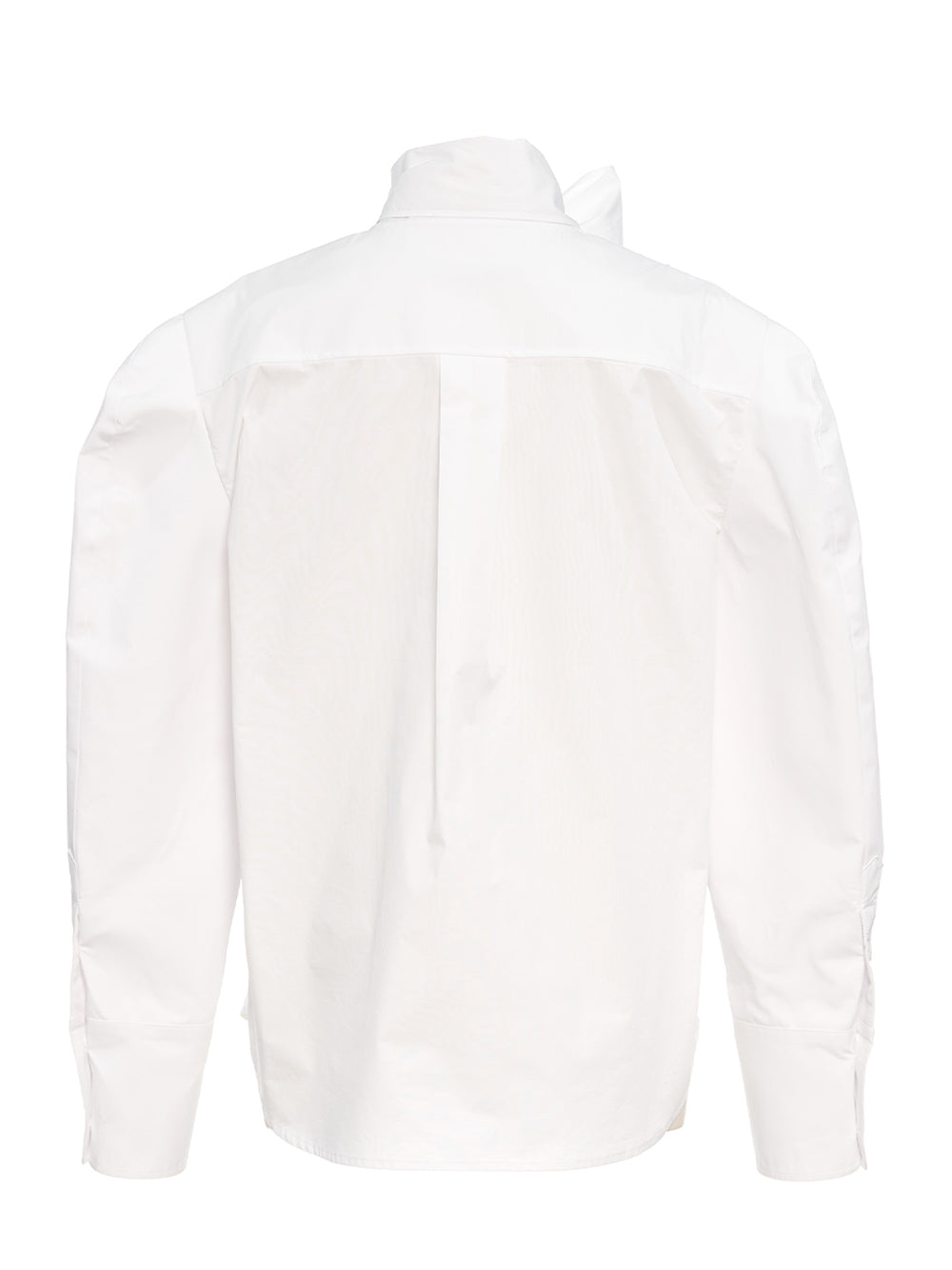 Neck Ribbon Tie Blouse White