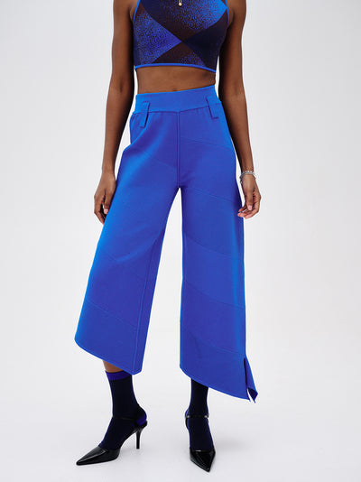 Coco Asymmetric Wide Leg Pants (Electric Blue)
