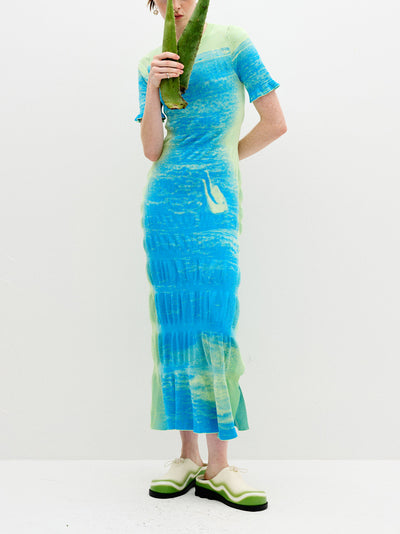 Vinca Lake Print Maxi Dress Paradise Blue